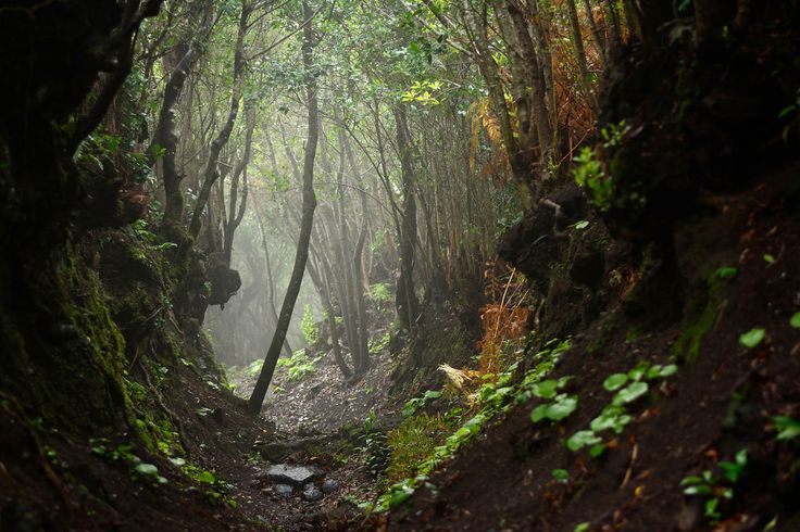 3. Beaches/Parks/Nature